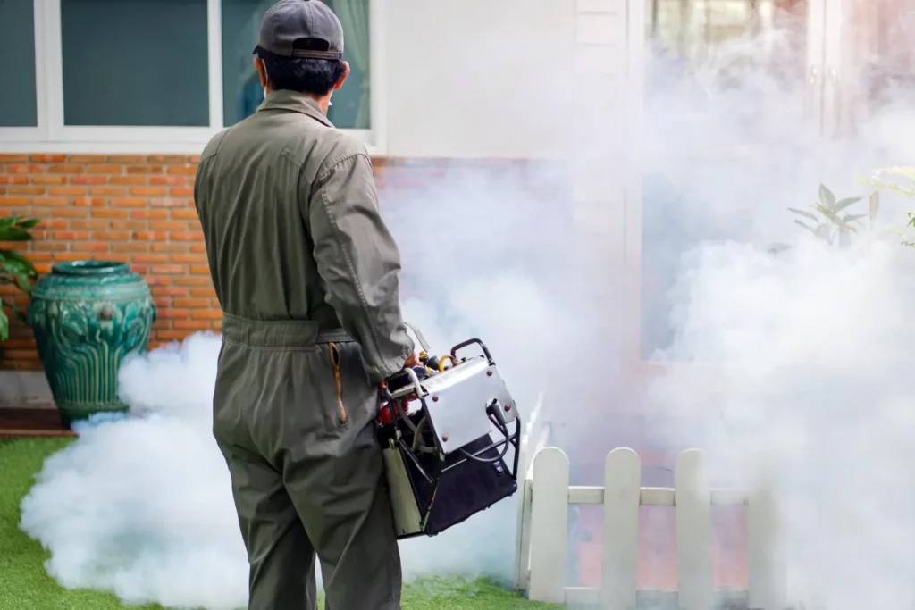 Fumigacion de pulgas en Panama