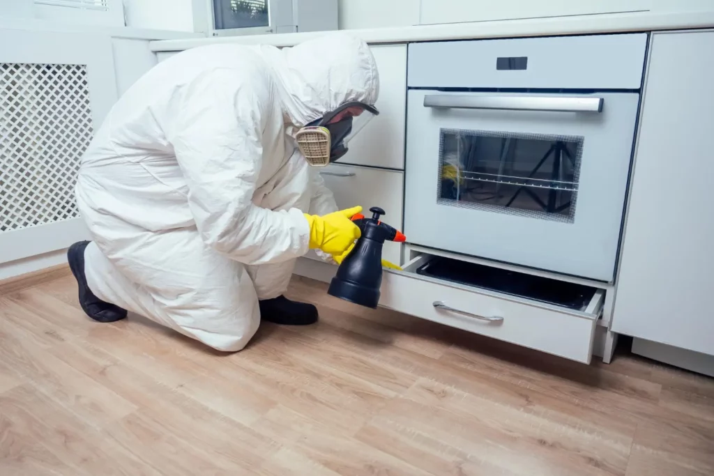 Fumigación de ratones y ratas en Panamá