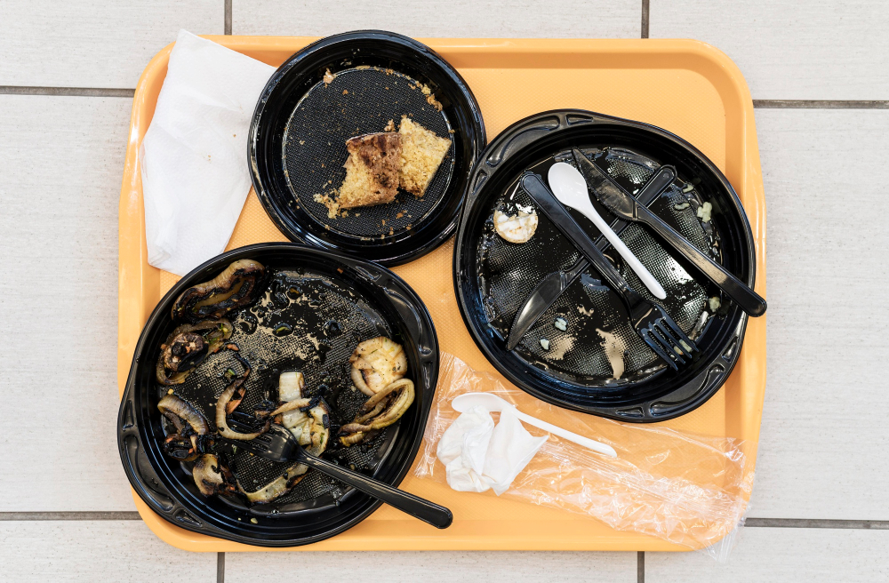 como saber si hay una plaga de cucarachas en casa