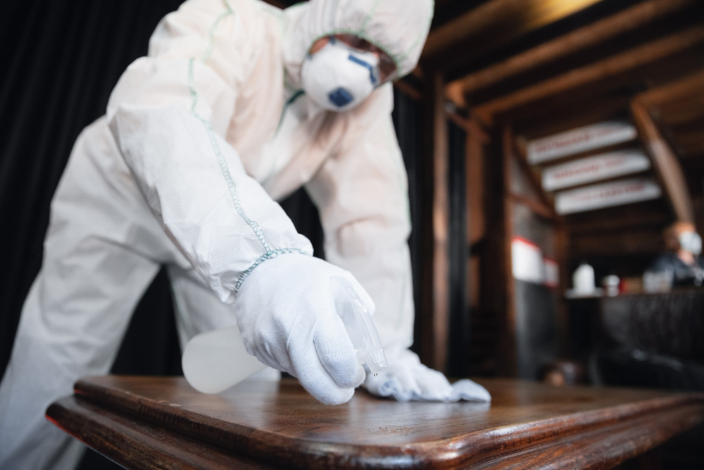 cada cuanto tiempo se fumiga un restaurante