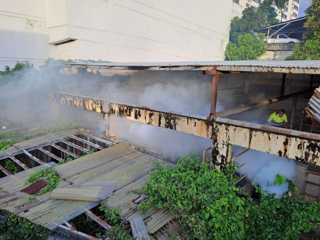 Cómo funciona nuestro servicio de fumigación de mosquitos