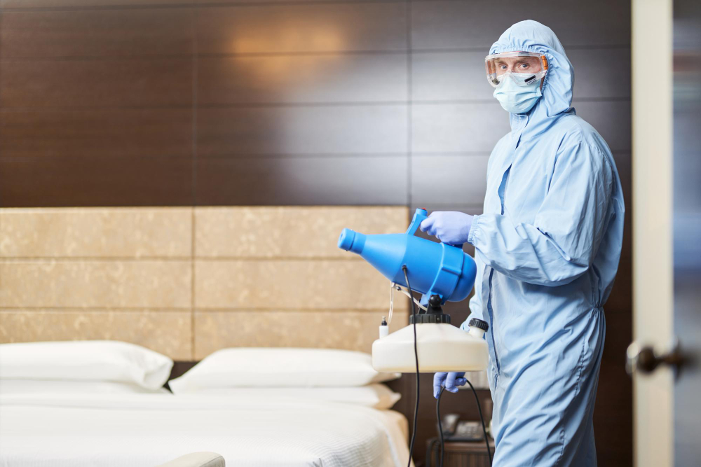 Plagas Comunes en Hoteles y sus Riesgos