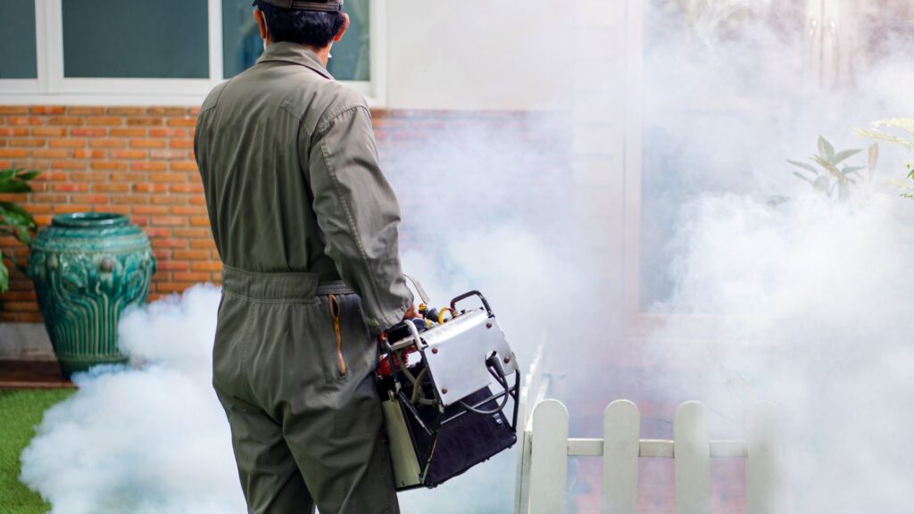 Productos para Eliminar Ranas