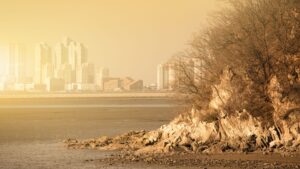 Impacto del Cambio Climático en Plagas de Panamá