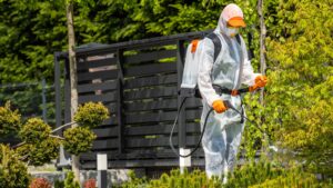 Métodos Ecológicos de Control de Plagas para Jardín