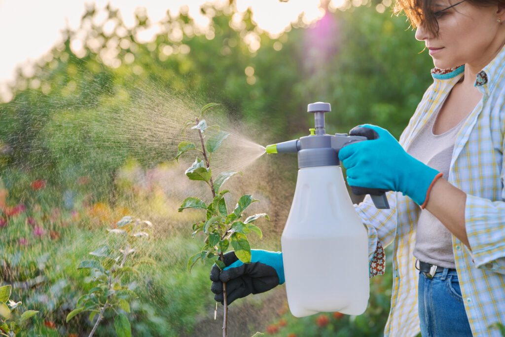 Estrategias de Prevención en Panamá
