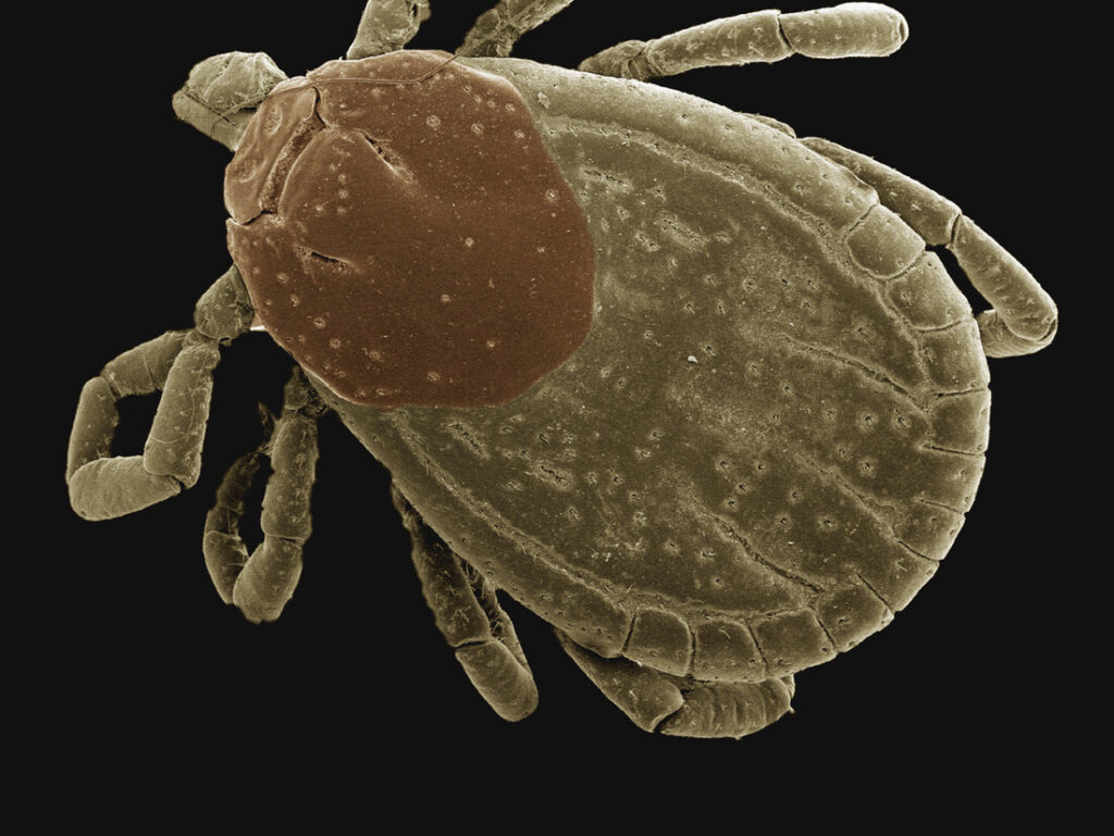 Mantenimiento y Control Continuo