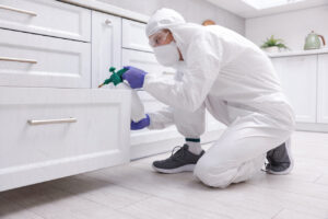 Cuánto Tardan en Morir las Cucarachas Después de Fumigar