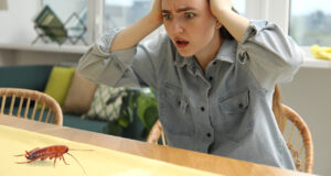 Qué Plagas Afectan Casas y Apartamentos: Las 10 Especies Más Comunes