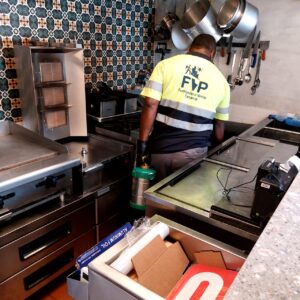 Plagas más frecuentes en casas de Panamá guía completa