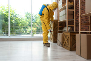 Fumigación en PH 7 señales de que su edificio necesita un plan preventivo y no solo fumigaciones aisladas