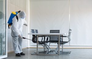 Cómo Saber si Tu Oficina Necesita un Plan Preventivo de Control de Plagas