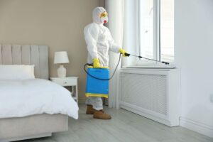 Fumigación por chinches en casa preparación, proceso y prevención