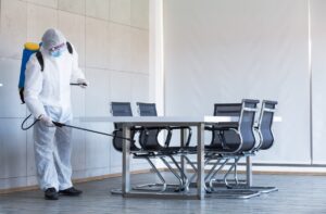 Plagas en oficinas riesgos para la salud laboral y prevención efectiva